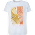 Image of T-shirt & Polo Pepe jeans PL505735