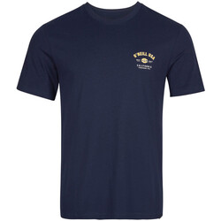 Abbigliamento Uomo T-shirt & Polo O'neill 2850006-15011 Blu