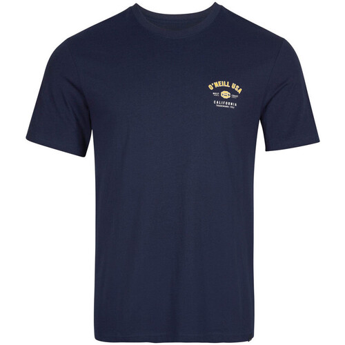 Abbigliamento Uomo T-shirt maniche corte O'neill 2850006-15011 Blu