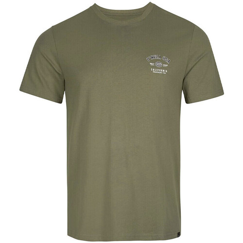 Abbigliamento Uomo T-shirt & Polo O'neill 2850006-16011 Verde