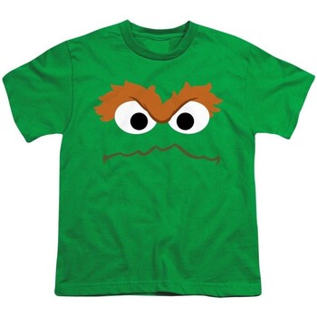 Abbigliamento Unisex bambino T-shirt maniche corte Sesame Street TV2863 Verde