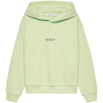 Abbigliamento Bambino Felpe Calvin Klein Jeans PIXEL LOGO TERRY RELAXED HOODIE Verde
