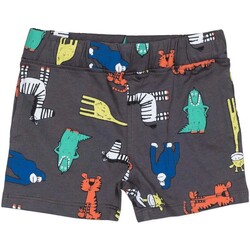 Abbigliamento Unisex bambino Shorts / Bermuda Losan 51004750020 Grigio