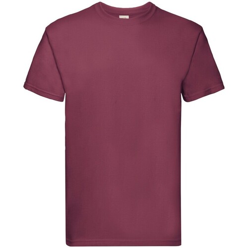 Abbigliamento Uomo T-shirts a maniche lunghe Fruit Of The Loom SS044 Multicolore
