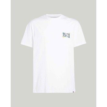 Abbigliamento Uomo T-shirt maniche corte Tommy Hilfiger DM0DM18562YBR Bianco