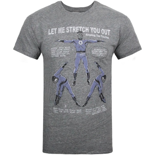 Abbigliamento Uomo T-shirts a maniche lunghe Junk Food Mr Fantastic Stretch Grigio