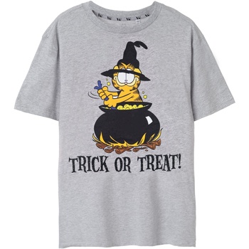 Abbigliamento Uomo T-shirts a maniche lunghe Garfield Trick Or Treat Grigio