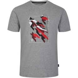 Abbigliamento Uomo T-shirts a maniche lunghe Dare 2b Movement II Grigio