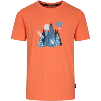 Abbigliamento Unisex bambino T-shirt maniche corte Dare 2b Trailblazer II Arancio