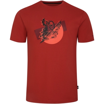 Abbigliamento Uomo T-shirts a maniche lunghe Dare 2b Movement II Rosso