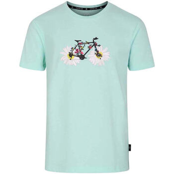 Abbigliamento Unisex bambino T-shirt & Polo Dare 2b Trailblazer II Verde