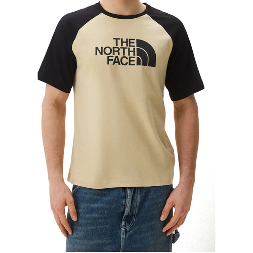 Abbigliamento Uomo T-shirt maniche corte The North Face NF0A87N7 Grigio