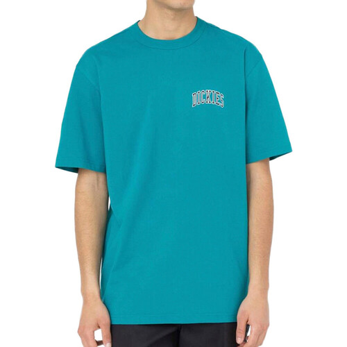 Abbigliamento Uomo T-shirt & Polo Dickies DK0A4Y8OE641 Blu
