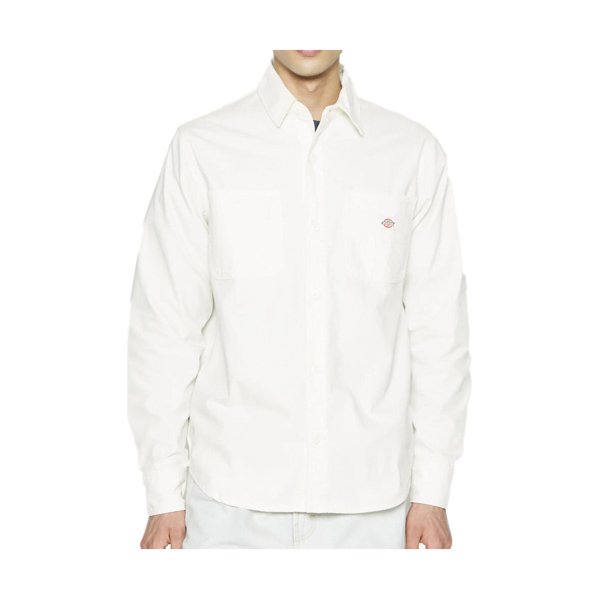 Abbigliamento Uomo Camicie maniche lunghe Dickies DK0A4Y27C431 Bianco