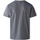 Abbigliamento Uomo T-shirt & Polo The North Face Fine T-Shirt - Smoked Pearl Grigio