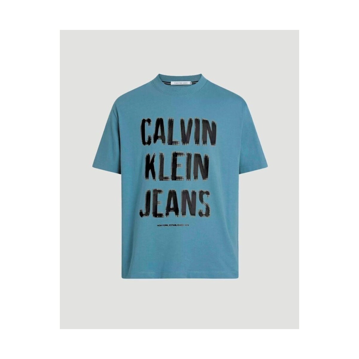 Abbigliamento Uomo T-shirt maniche corte Calvin Klein Jeans J30J324648CFQ Blu