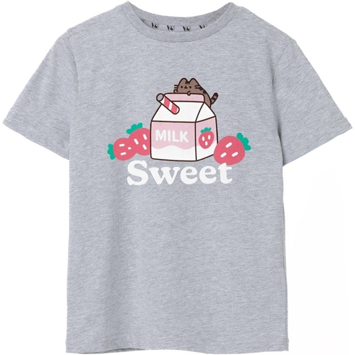 Abbigliamento Bambina T-shirts a maniche lunghe Pusheen Sweet Sips Grigio