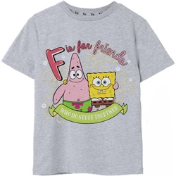 Abbigliamento Bambina T-shirts a maniche lunghe Spongebob Squarepants F Is For Friends Grigio