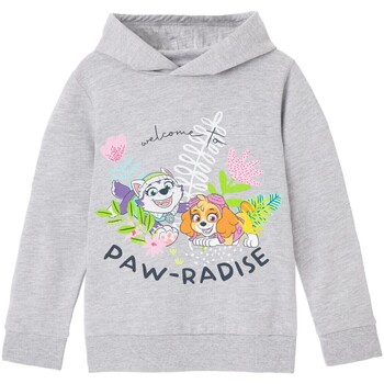 Abbigliamento Bambina Felpe Paw Patrol Paw-Radise Grigio
