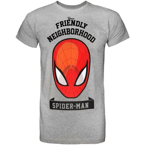 Abbigliamento Uomo T-shirts a maniche lunghe Marvel Friendly Neighbourhood Grigio