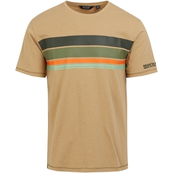Abbigliamento Uomo T-shirts a maniche lunghe Regatta Rayonner Multicolore