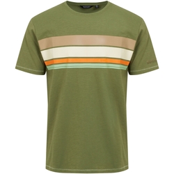 Abbigliamento Uomo T-shirts a maniche lunghe Regatta Rayonner Verde