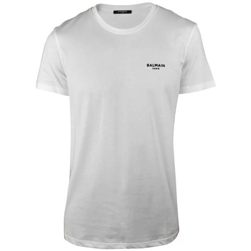 Abbigliamento Uomo T-shirt & Polo Balmain  Bianco