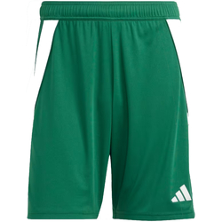 Abbigliamento Uomo Shorts / Bermuda adidas Originals IS1410 Verde