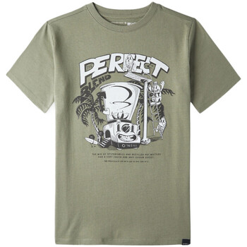 Abbigliamento Bambino T-shirt maniche corte O'neill 4850040-16011 Verde