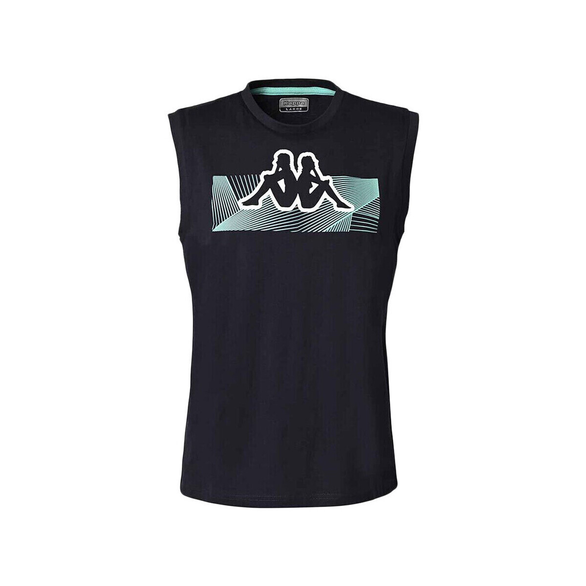 Abbigliamento Uomo Top / T-shirt senza maniche Kappa 311N16W Blu