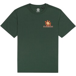 Abbigliamento Uomo T-shirt & Polo Element In Bloom Ss Verde