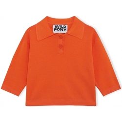 Abbigliamento Donna Maglioni Wild Pony Knit 10604 - Orange Arancio