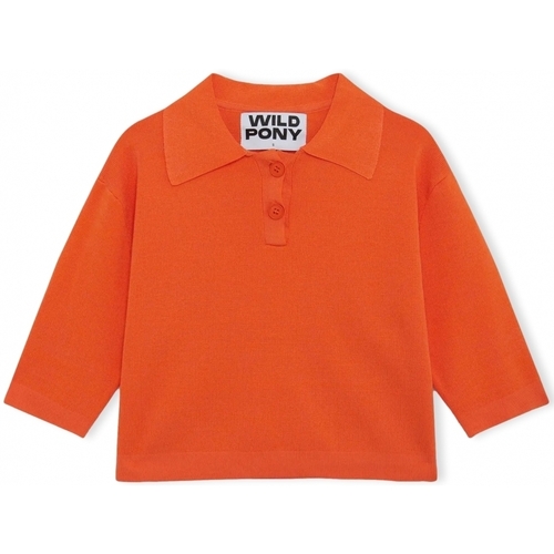 Abbigliamento Donna Maglioni Wild Pony Knit 10604 - Orange Arancio