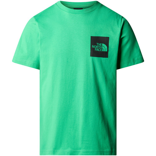 Abbigliamento Uomo T-shirt & Polo The North Face NF0A87ND Verde