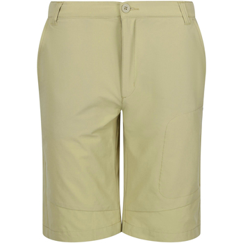 Abbigliamento Uomo Shorts / Bermuda Regatta Highton Beige