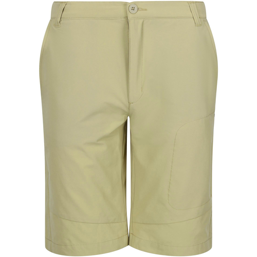 Abbigliamento Uomo Shorts / Bermuda Regatta Highton Beige