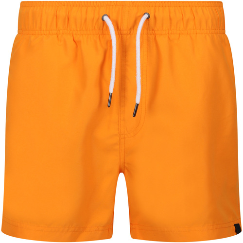 Abbigliamento Uomo Shorts / Bermuda Regatta Mawson II Arancio