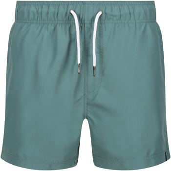 Abbigliamento Uomo Shorts / Bermuda Regatta Mawson II Multicolore