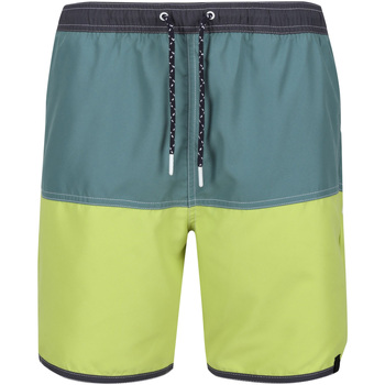 Abbigliamento Uomo Shorts / Bermuda Regatta Benicio Verde