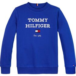 Abbigliamento Bambino Felpe Tommy Hilfiger FELPA CON LOGO OVERSIZE KB0KB08713 Blu