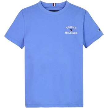 Abbigliamento Bambino T-shirts a maniche lunghe Tommy Hilfiger KB0KB08807 Blu