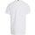 Abbigliamento Bambino T-shirts a maniche lunghe Tommy Hilfiger KB0KB08802 Bianco