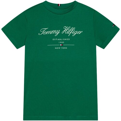 Abbigliamento Bambino T-shirts a maniche lunghe Tommy Hilfiger KB0KB08803 Verde