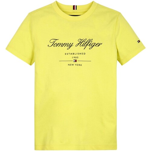 Abbigliamento Bambino T-shirts a maniche lunghe Tommy Hilfiger KB0KB08803 Giallo