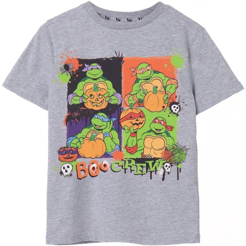 Abbigliamento Unisex bambino T-shirt maniche corte Teenage Mutant Ninja Turtles Boo Crew Grigio