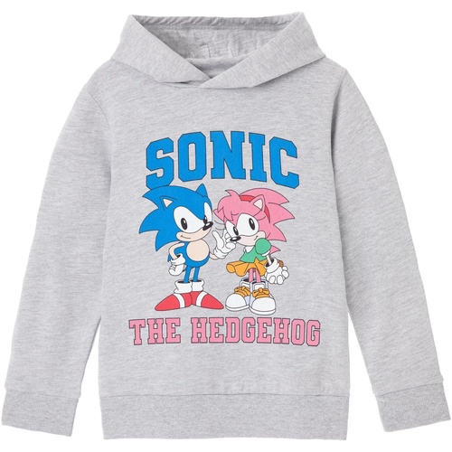 Abbigliamento Bambina Felpe Sonic The Hedgehog Collegiate Grigio