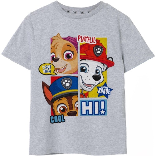 Abbigliamento Bambino T-shirt & Polo Paw Patrol Peekaboo Grigio