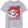 Abbigliamento Bambino T-shirt maniche corte Paw Patrol NS7762 Grigio