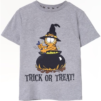 Abbigliamento Unisex bambino T-shirt maniche corte Garfield Trick Or Treat Grigio