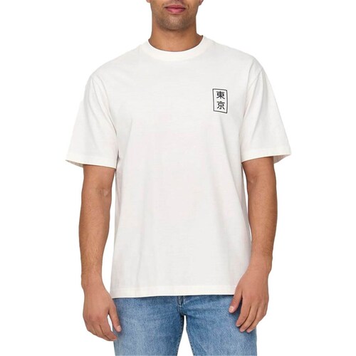 Abbigliamento Uomo T-shirt maniche corte Only & Sons  22028731 Multicolore